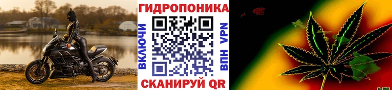 KRAKEN tor  наркота  Переславль-Залесский  Шишки марихуана план 